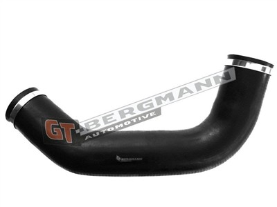 GT BERGMANN GT52-234 EAN: 5907764516998.