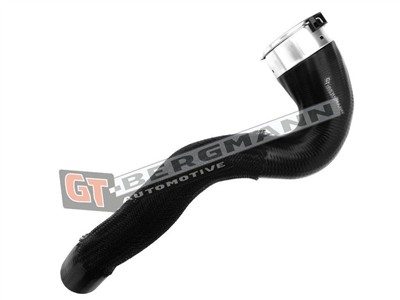 GT BERGMANN GT52-240 EAN: 5907764517292.