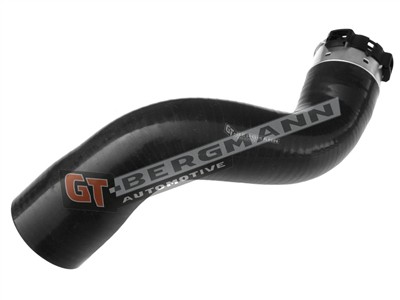 GT BERGMANN GT52-242 EAN: 5907764517445.