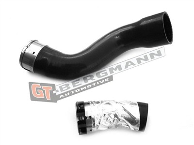 GT BERGMANN GT52-243 EAN: 5907764517452.
