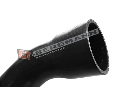 GT BERGMANN GT52-243 EAN: 5907764517452.