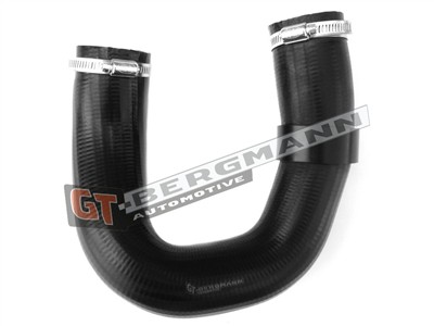 GT BERGMANN GT52-245 EAN: 5907764517483.