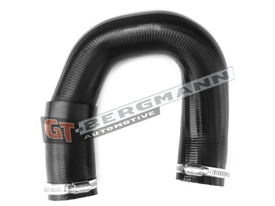 GT BERGMANN GT52-245 EAN: 5907764517483.