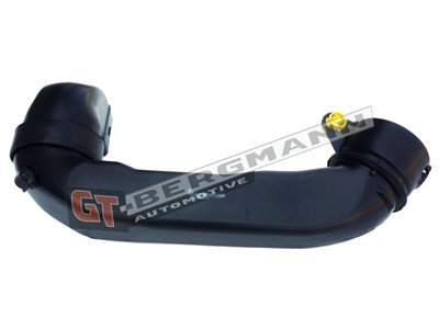GT BERGMANN GT52-255 EAN: 5907764517643.