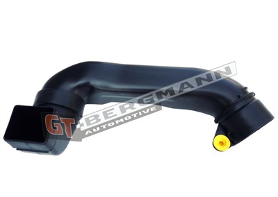 GT BERGMANN GT52-255 EAN: 5907764517643.