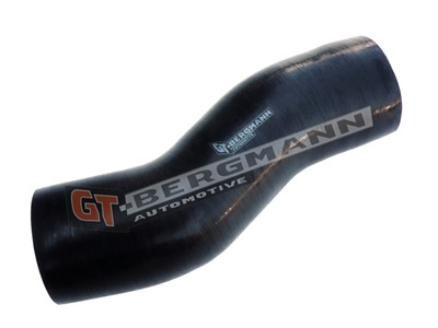 GT BERGMANN GT52-261 EAN: 5907764517759.