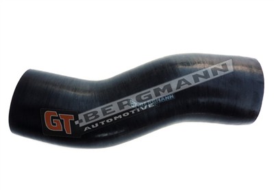 GT BERGMANN GT52-261 EAN: 5907764517759.