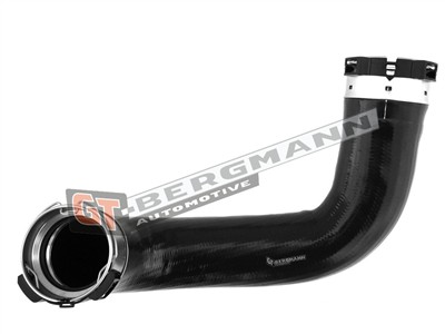 GT BERGMANN GT52-267 EAN: 5907764518206.