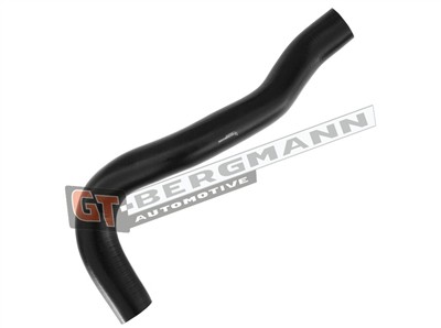 GT BERGMANN GT52-274 EAN: 5907764518275.