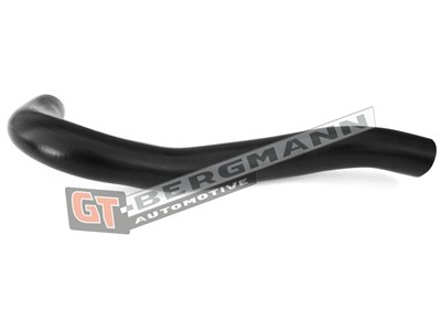 GT BERGMANN GT52-274 EAN: 5907764518275.