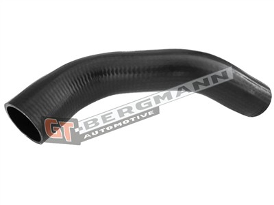 GT BERGMANN GT52-276 EAN: 5907764518299.