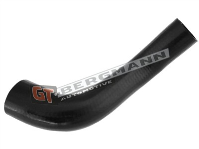 GT BERGMANN GT52-276 EAN: 5907764518299.