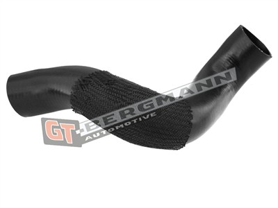 GT BERGMANN GT52-283 EAN: 5907764518367.