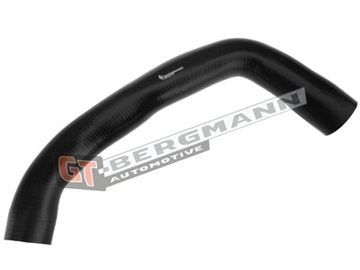 GT BERGMANN GT52-285 EAN: 5907764518381.