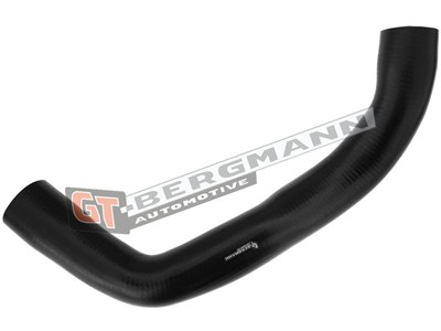 GT BERGMANN GT52-285 EAN: 5907764518381.