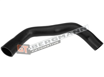 GT BERGMANN GT52-285 EAN: 5907764518381.