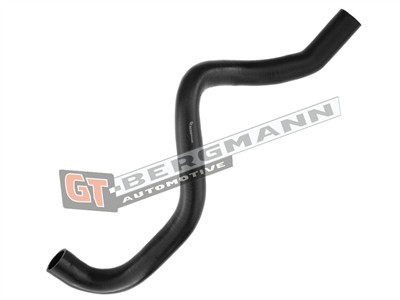 GT BERGMANN GT52-286 EAN: 5907764518398.