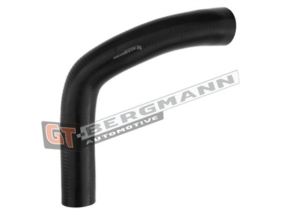 GT BERGMANN GT52-294 EAN: 5907764518473.