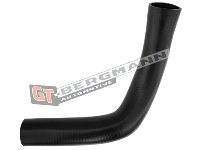 GT BERGMANN GT52-294 EAN: 5907764518473.