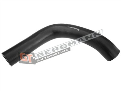 GT BERGMANN GT52-294 EAN: 5907764518473.