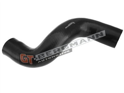 GT BERGMANN GT52-295 EAN: 5907764518480.