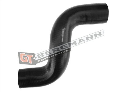 GT BERGMANN GT52-295 EAN: 5907764518480.