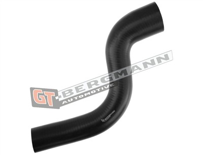 GT BERGMANN GT52-297 EAN: 5907764518503.