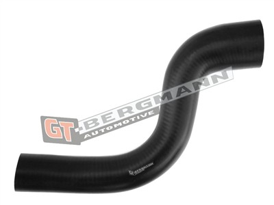 GT BERGMANN GT52-297 EAN: 5907764518503.
