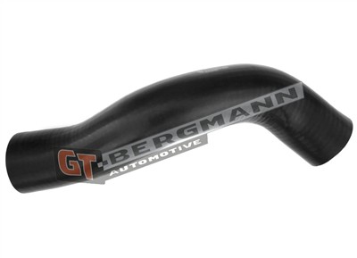 GT BERGMANN GT52-303 EAN: 5907764518565.