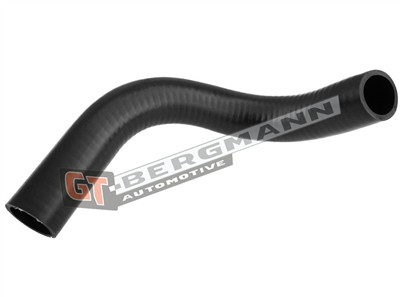 GT BERGMANN GT52-304 EAN: 5907764518572.