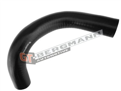 GT BERGMANN GT52-304 EAN: 5907764518572.