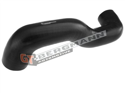 GT BERGMANN GT52-310 EAN: 5907764518633.