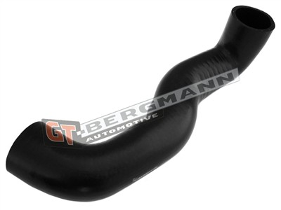 GT BERGMANN GT52-310 EAN: 5907764518633.