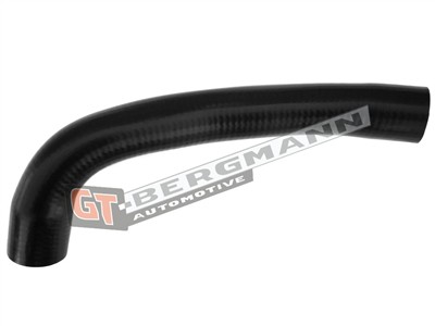 GT BERGMANN GT52-312 EAN: 5907764518657.