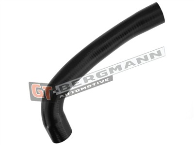 GT BERGMANN GT52-312 EAN: 5907764518657.