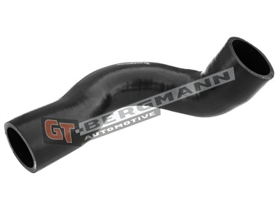 GT BERGMANN GT52-314 EAN: 5907764518671.