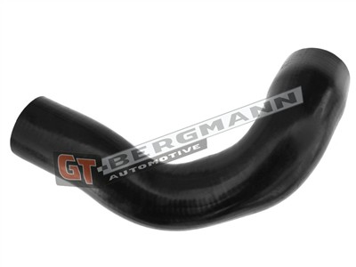 GT BERGMANN GT52-314 EAN: 5907764518671.