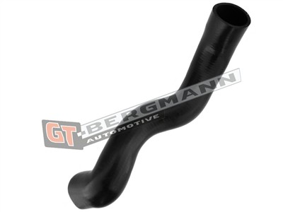 GT BERGMANN GT52-315 EAN: 5907764518688.