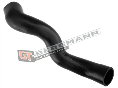 GT BERGMANN GT52-315 EAN: 5907764518688.