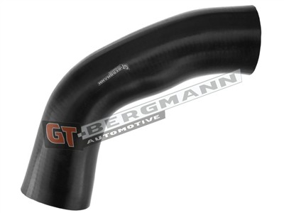 GT BERGMANN GT52-316 EAN: 5907764518695.