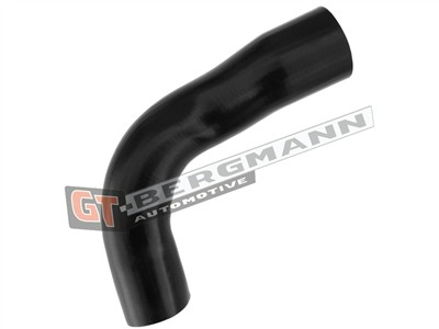 GT BERGMANN GT52-317 EAN: 5907764518701.