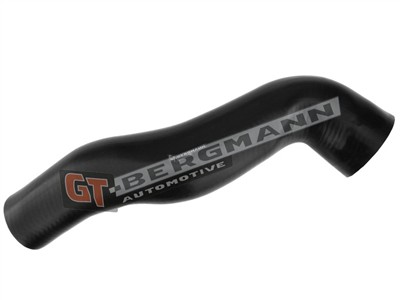 GT BERGMANN GT52-319 EAN: 5907764518725.