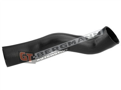 GT BERGMANN GT52-319 EAN: 5907764518725.