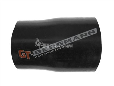 GT BERGMANN GT52-321 EAN: 5907764518756.
