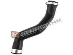 GT BERGMANN GT52-323