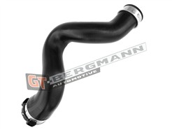 GT BERGMANN GT52-329