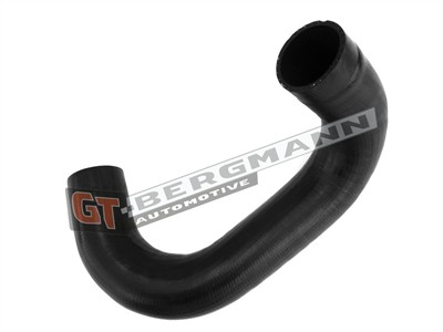 GT BERGMANN GT52-350 EAN: 5907764519500.
