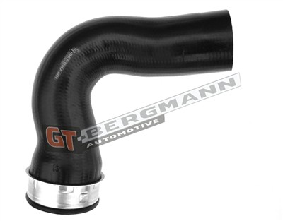 GT BERGMANN GT52-355 EAN: 5907764519555.
