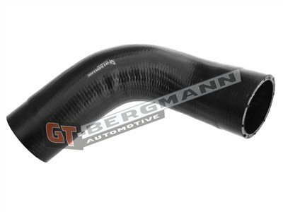 GT BERGMANN GT52-363 EAN: 5907764519630.