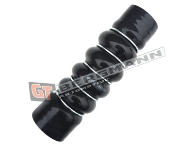 GT BERGMANN GT52-371 EAN: 5907764519715.